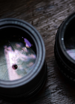 MEYER-OPTIK GÖRLITZ ORESTOR 135MM F/2.8 - Chiếc kính huyền thoại của miền Đông Đức xưa cũ