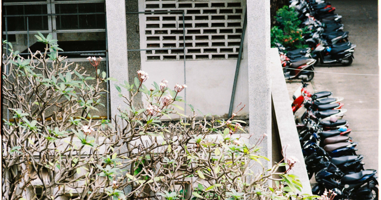 Phúc Ánh - Film Camera Store