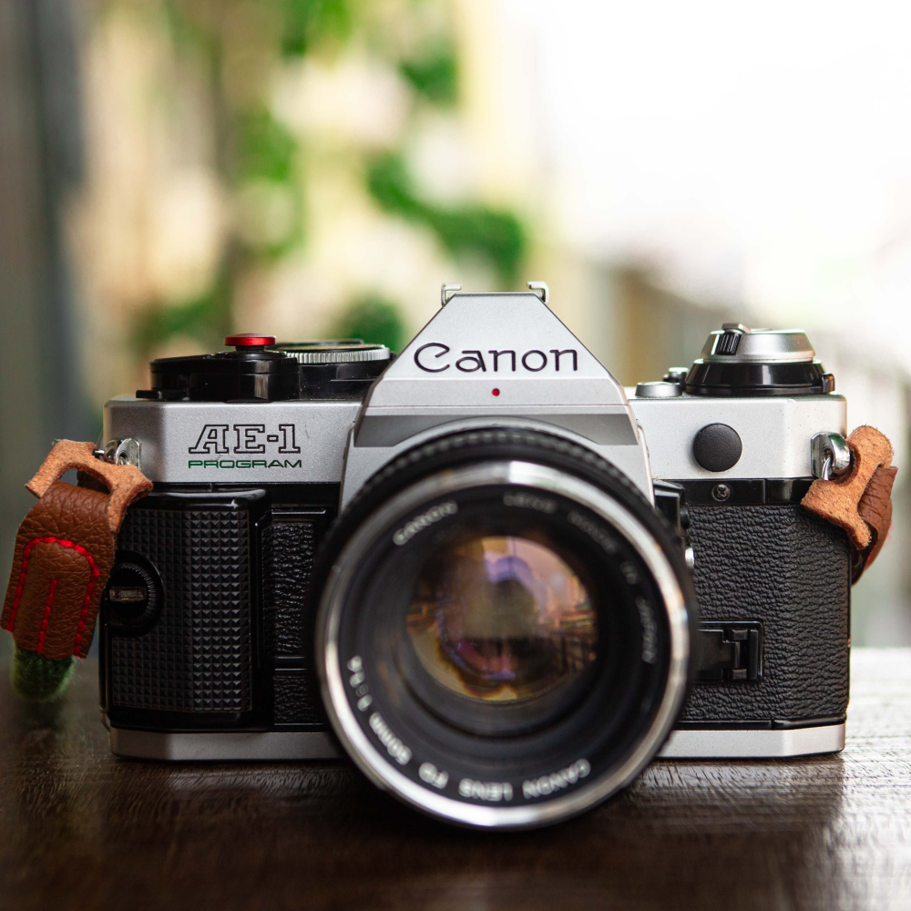 Canon AE1 Program _ FD Chrome 50mm f1.4 [SLR/135mm]