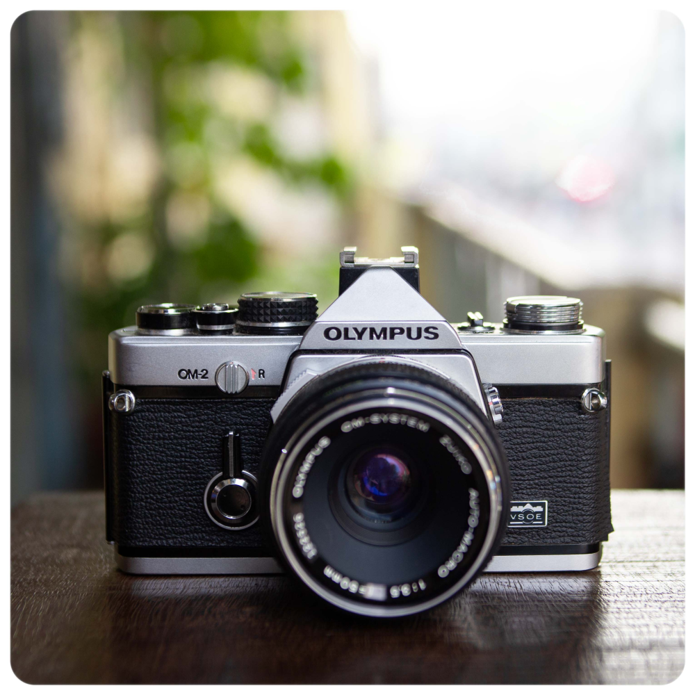 OLYMPUS OM2 + ZUIKO AUTO-MACRO 50MM F/3.5
