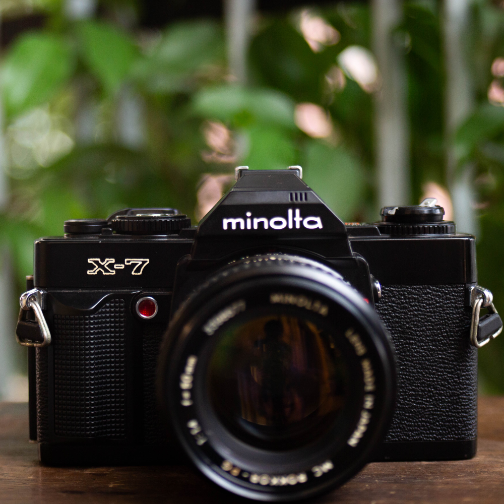 Minolta X-7 – Minolta MC Rokkor-PG 50mm f/1.4