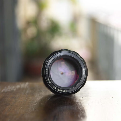 NIKON F (GÙ CHÙA)+ NIKKOR-SC AUTO 55MM F/1.2