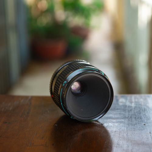 MINOLTA X-70 + MD MACRO 50MM F/3.5