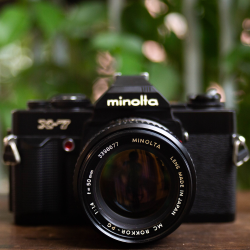 Minolta X-7 – Minolta MC Rokkor-PG 50mm f/1.4